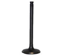 JAPANPARTS JPVV-NI016 Valvola Aspirazione