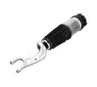 JAPANPARTS MM-AS197 Gamba elastica con ammortiz. pneumatico per TESLA