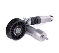 JAPANPARTS TS-509 Braccio tenditore, Cinghia Poly-V