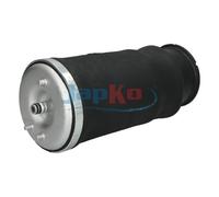 JAPKO Molla pneumatica posteriore destro MJAS019