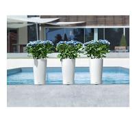 Jardiniere - Cilindro colore 32 - Kit completo - Bianco - 13 L -LECHUZA