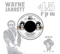 Jarrett Wayne, Roots Radics - Love In A Mi Heart, Blood On (7")