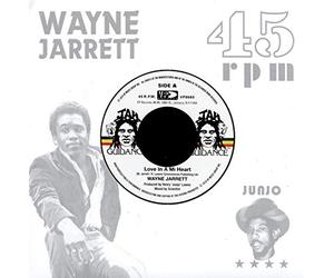Jarrett Wayne, Roots Radics - Love In A Mi Heart, Blood On (7")