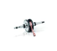 JASIL 6030023 CRANKSHAFT ORIGINAL PIAGGIO FREE 25 W/O CATALYTIC CONVERTER 1994