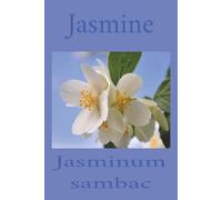 Jasmine: Jasminum sambac