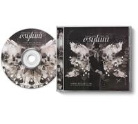 Jason Bieler And The Baron Von Bielski Orchestra - Postcards From The Asylum