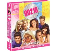 Jason Priestley - Beverly Hills 90210 Season1 (6 Dvd) [Edizione: Giappone]
