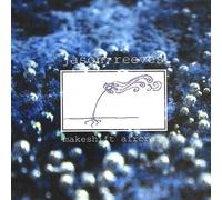 Jason Reeves - Makeshift Aircraft