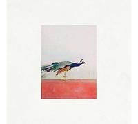 Jason Singh & The Banwasi Collective - Travellers