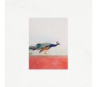 Jason Singh & The Banwasi Collective Travellers (CD) Album