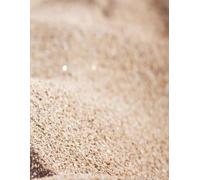 Jasper The TimidCat Notebook: Textured Perspectives -: A notebook featuring photographic textures for journaling, note taking, and creative expression