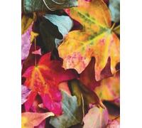 Jasper The TimidCat Notebook: Textured Perspectives - Autumn Leaves: A notebook featuring photographic textures for journaling, note-taking, and creative expression