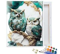 JATOK Kit di pittura con i numeri per adulti, kit di pittura per principianti su tela colorata trasparente, facile pittura fai da te con pigmento acrilico per decorazione da parete per la casa, gufo,