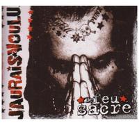 J'Aurais Voulu - Le Feu Sacre