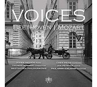 Javier Negrin, Chen Reis, Jan Petryka, Paul Armin Edelmann, Beethoven Philarmonie & Thomas Rosner - Voices