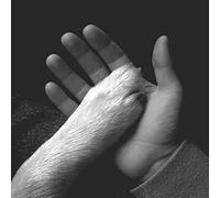 Jaws Of Love - Tasha Sits Close To The Piano