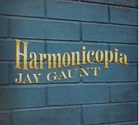 Jay Gaunt - Harmonicopia
