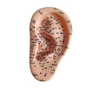 JAYIOLA EAR HUMAN ACUPOINT DELL'ASSEGGIO DELL'APIORE PROFESSIONE PRATICA AURICOLARE AUTERO STRUMENTO DEMBRO di MODELLO, Sinistra