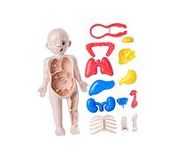JAYIOLA Set di Giochi Didattici per L'anatomia del Corpo Umano. Educazione Precoce