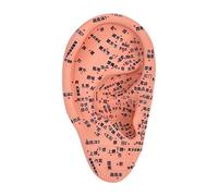 JAYIOLA Strumento di Apprendimento Acupoint Auricolare per La Pratica Della Riflessologia, 16 Cm