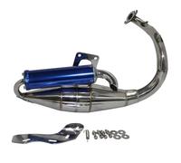 JAYWIS Tubo Di Scarico Per Moto, Silenziatore Di Scarico Per DIO 50 DIO50 AF18 AF24 AF27 AF28 AF30, Tubo Di Scarico Modificato Tubo Di Scarico(Color 4 Stainless)