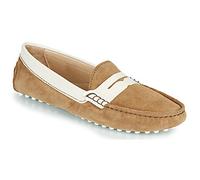 JB Martin Scarpe 1TABATA in Marrone 37