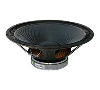 JB Systems PWX 15/300 PA di Bass Speaker Con Cestino inox