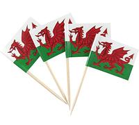 JBCD 200 pz stuzzicadenti con bandiera del Galles stuzzicadenti decorazioni per cupcake, cocktail stuzzicadenti bandiera gallese topper piccone piccoli