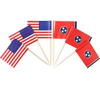 JBCD 200 stuzzicadenti con bandiera americana e del Tennessee, bandiere dello stato del Tennessee, decorazioni per cupcake, stuzzicadenti per cocktail e stuzzicadenti con bandiera USA