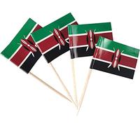 JBCD - 200 stuzzicadenti con bandiera del Kenya, decorazione per cupcake, stuzzicadenti da cocktail con bandiera keniana