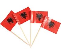 JBCD - 200 stuzzicadenti con bandiera dell'Albania, decorazioni per cupcake, stuzzicadenti da cocktail con bandiera albanese