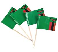 JBCD 200 stuzzicadenti con bandiera dello Zambia, decorazioni per cupcake, stuzzicadenti da cocktail con bandiera dello Zambia