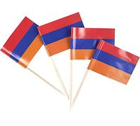 JBCD - Stuzzicadenti con bandiera dell'Armenia, 200 pezzi, decorazioni per cupcake, stuzzicadenti da cocktail con bandiera armena