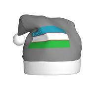 JBJGKHLP Bandiera della Repubblica dell'Uzbekistan Stampa Cappello di Natale per uomini e donne per la festa Capodanno Celebrazioni Feste Decorazione Cap