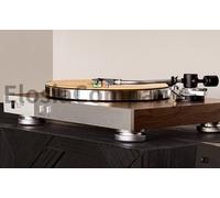 JBL TT350 Classic Giradischi Giradischi Noce Direct Drive JBLTT350WALEU