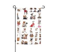 Jbyjbx Simpatico motivo chihuahua carlino stampa splendidamente bandiera da giardino bandiera esterna decorazione cortile portici giardini resistente allo sbiadimento