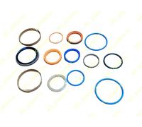 JCB PARTS - KIT GUARNIZIONI OSCILLAZIONE STABILIZZATORE RAM, (PART NUMBER: 40...