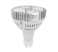 JCKJWL Lampada a LED G12 Par30 35W 130lm/w Faretto G12 Par30 Sostituisce lampadina a ioduri metallici da 70W Illuminazione di grandi aree(White,25W)