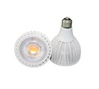 JCKJWL Lampadina LED E27 dimmerabile 10W 15W 25W PAR20-PAR38 Faretto ad alta potenza for interni Illuminazione di grandi aree(Natural white,10W)