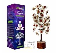 JD Fresh Gomati Chakra con albero Rudraksha/Originale Gomati Chakra Home Decor Showpiece/Buona fortuna ed energia positiva articolo per la casa (misura grande, 300 perline)