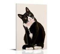 JDHUOXIAO Poster da parete con immagine di gatto che pensa, per soggiorno e camera da letto, 60 x 90 cm, con cornice