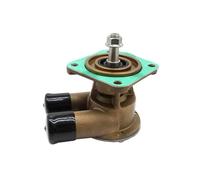 JDSNAEY Motore diesel marino dell'acqua di mare crudo per D2 Serie D2-55 D2-75 10-13283 Ancor ST347 AN5893 3583089