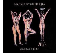 Jealous Of The Birds - Wisdom Teeth - Cd