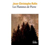 Jean-Christophe Rufin Les flammes de pierre (Tascabile)