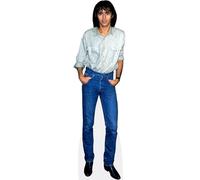 Jean-Jacques Goldman (Casual) mini formato