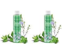 Jean & Len Shampoo Antiforfora Timo & Menta, formula vegana con Piroctone Olamine, combatte la forfora, uso quotidiano, senza parabeni né siliconi, vegano, 300 ml (Confezione da 2)