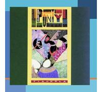 Jean-Luc Ponty - Tchokola