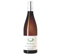 Jean-Marc Vincent Les Vignes Denses Santenay AOC 2022 0,75 ℓ