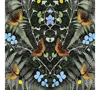 Jean-Michel Blais - aubades