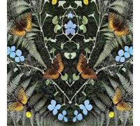 Jean-Michel Blais Jean-Michel Blais: Aubades (Vinyl LP) Limited 12" Album